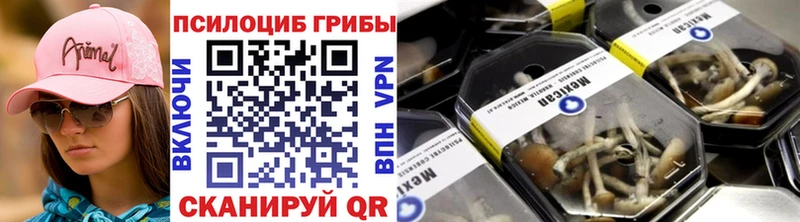 блэк спрут ссылка  Полярные Зори  Галлюциногенные грибы мицелий  купить наркоту 